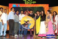 Uyyala Jampala Movie Audio Release Photos